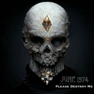 June 1974 - Please Destroy Me