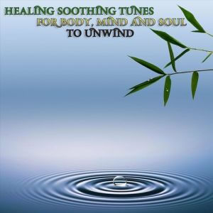 Healing Soothing Tunes for Body, Mind and Soul to Unwind (MP3)