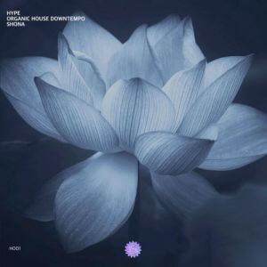 Hype - Organic House  Downtempo Shona
