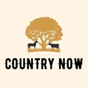 Country Now (MP3)