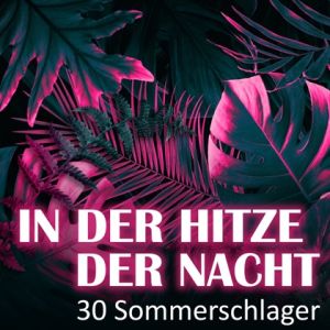 In der Hitze der Nacht (MP3)