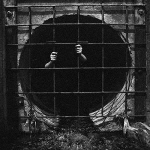 Ogres Of The South Wall - Cicada - The Lost Album