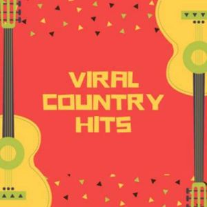 Viral Country Hits (MP3)