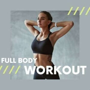 Full Body Workout