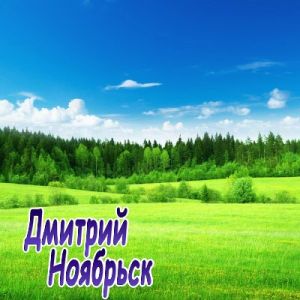 Дмитрий Ноябрьск - Песни шансон