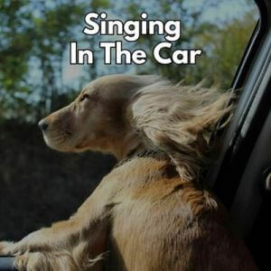 Singing In The Car
