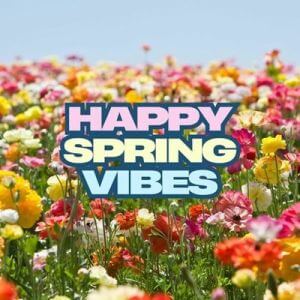 Happy Spring Vibes