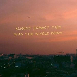 almost forgot this was the whole point