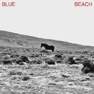 Josh Vine - Blue Beach