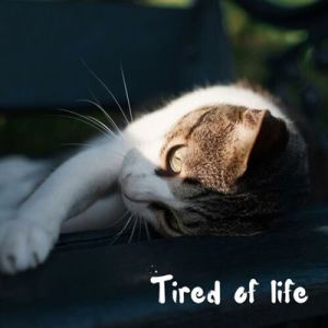 tired of life