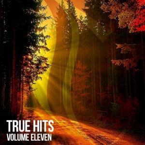 True Hits, Vol. 11