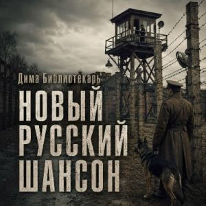 Дима Библиотекарь - Новый русский шансон (MP3)