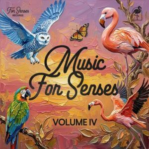 Music for Senses 2026